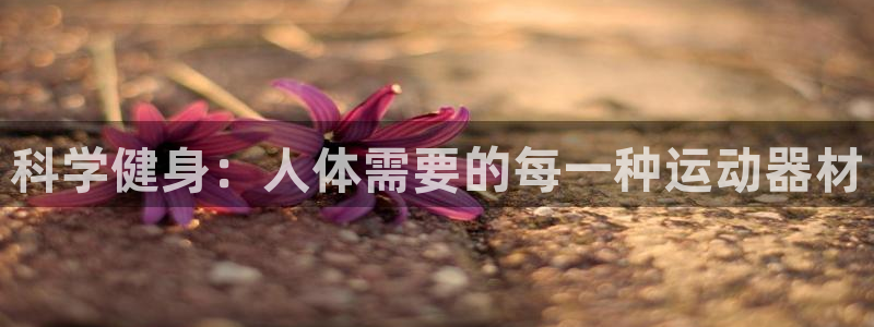 BWIN体育官方正版app新能源:科学健身:人体需要的每一种