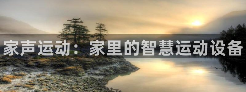 BWIN体育官方正版app集团:家声运动:家里的智慧运动设备