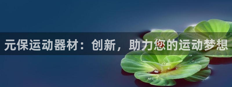 BWIN体育官网下载招商电话地址是多少:元保运动器材:创新,